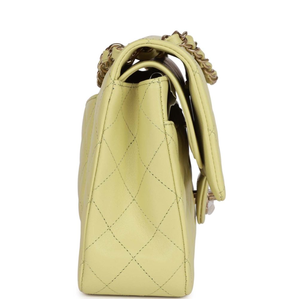Chanel Medium Classic Double Flap Bag Light Green Lambskin Light Gold Hardware - Image 3