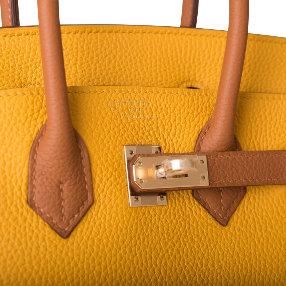 Hermes Special Order (HSS) Birkin 25 Jaune Ambre and Gold Togo Permabrass Hardware - Image 7