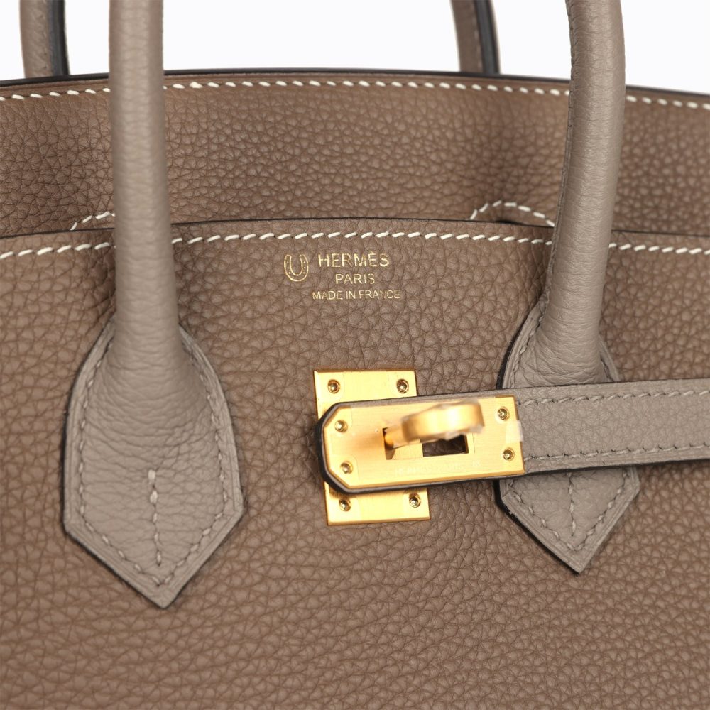 Hermes Special Order (HSS) Birkin 25 Etoupe and Etain Togo Brushed Gold Hardware - Image 7