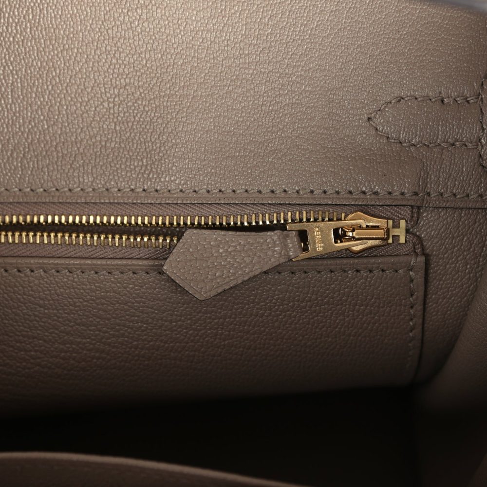 Hermes Special Order (HSS) Birkin 25 Etoupe and Etain Togo Brushed Gold Hardware - Image 9