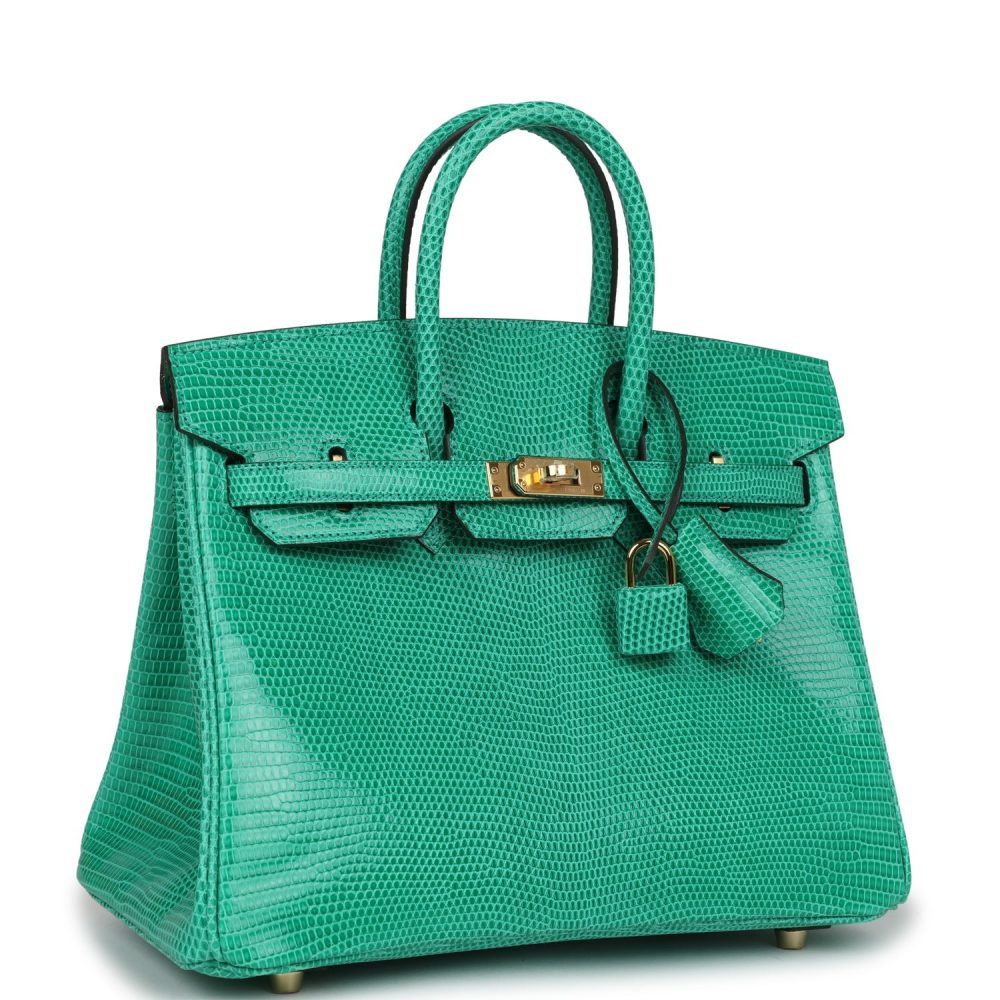 Hermes Birkin 25 Menthe Varanus Niloticus Lizard Gold Hardware - Image 2