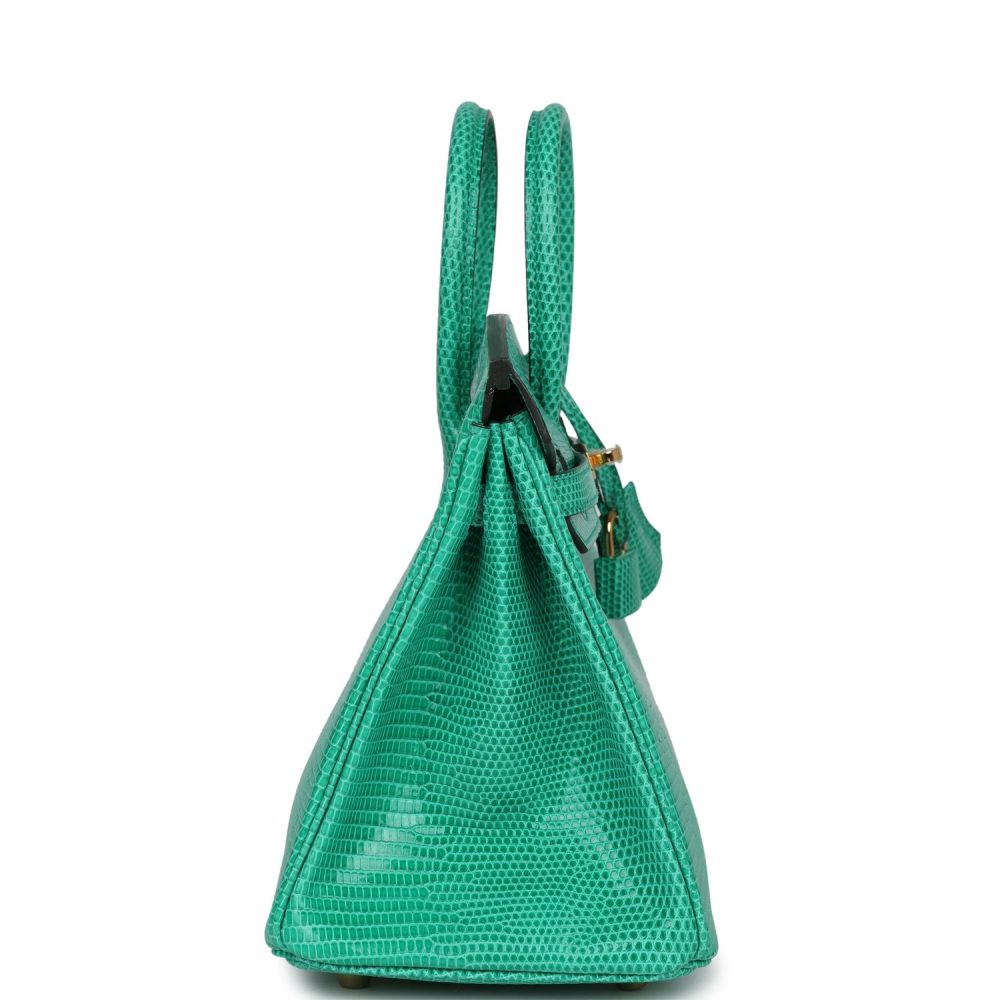 Hermes Birkin 25 Menthe Varanus Niloticus Lizard Gold Hardware - Image 3