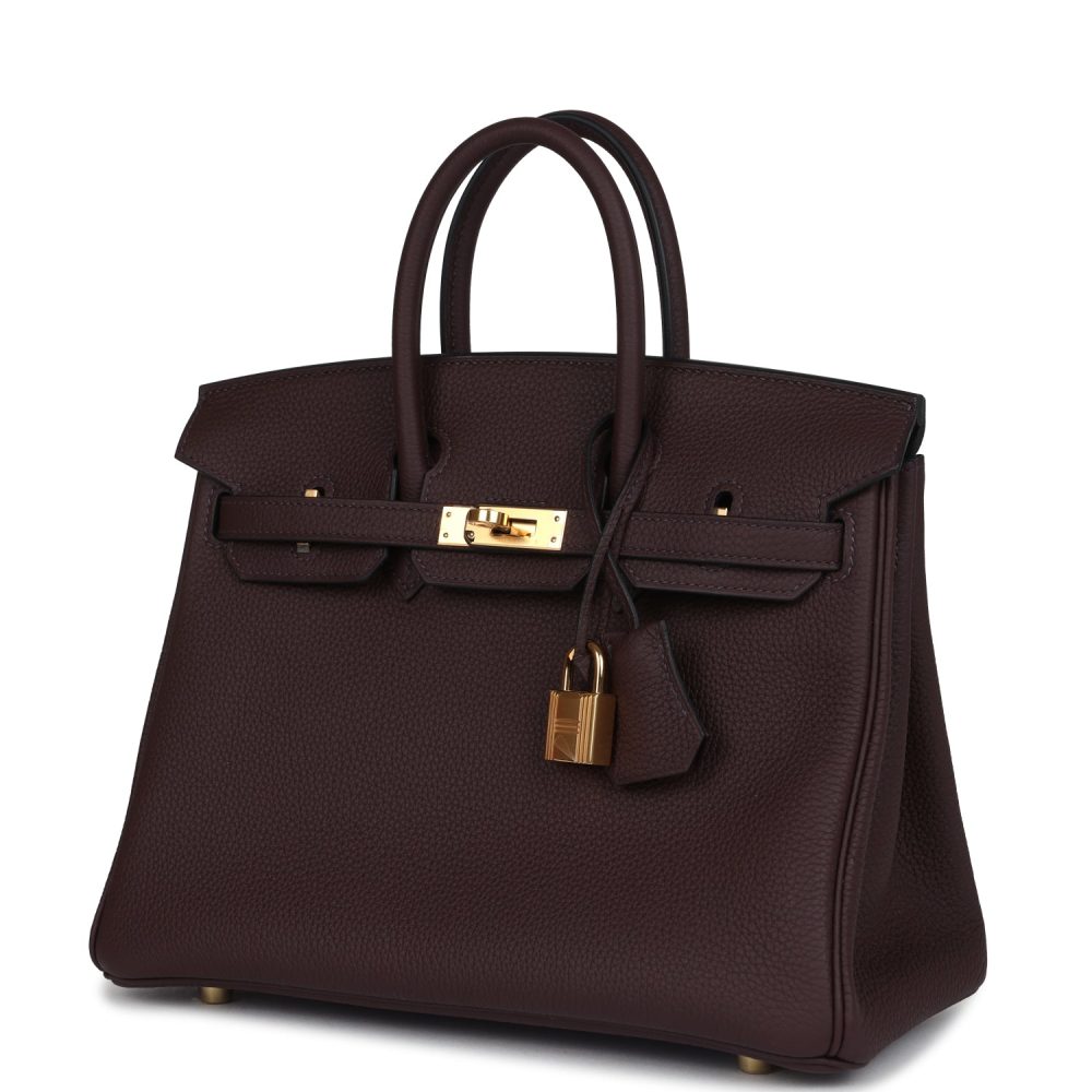 Hermes Birkin 25 Rouge Sellier Togo Gold Hardware - Image 3