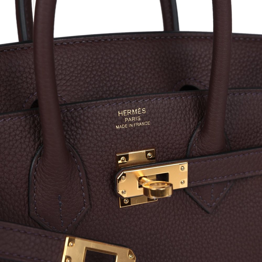 Hermes Birkin 25 Rouge Sellier Togo Gold Hardware - Image 7