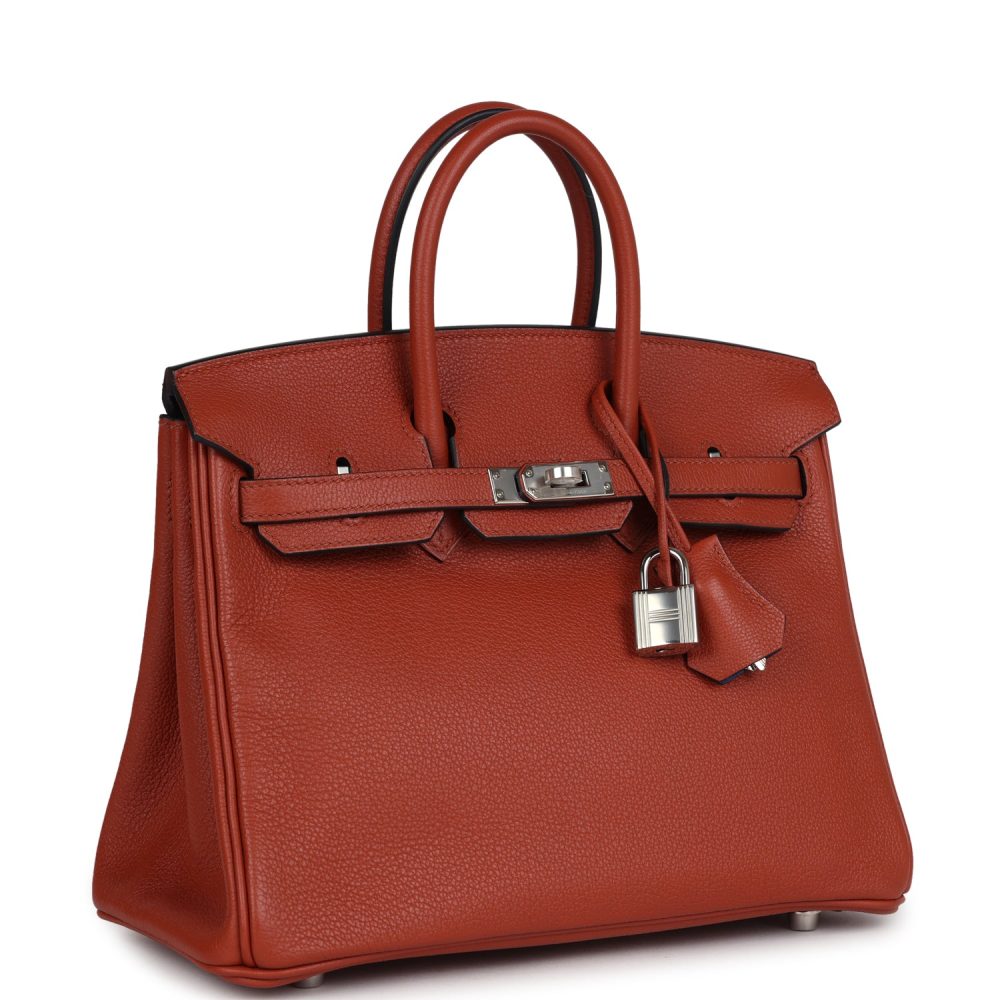 Hermes Birkin 25 Cuirve Verso Taurillon Novillo Palladium Hardware - Image 2