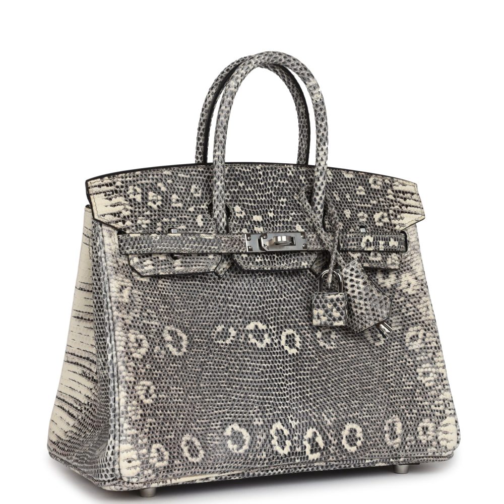 Hermes Birkin 25 Ombre Varanus Salvator Lizard Palladium Hardware - Image 2