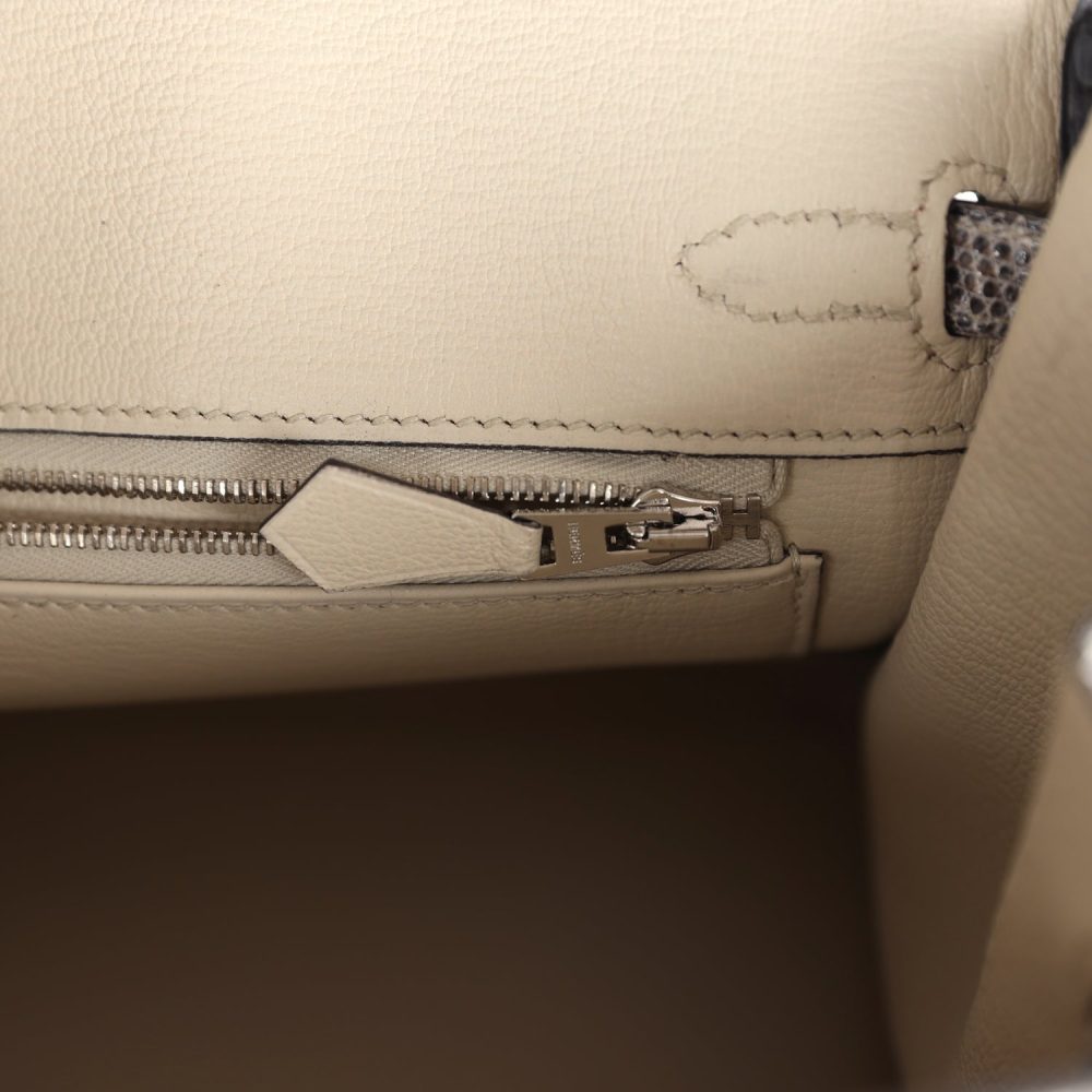 Hermes Birkin 25 Ombre Varanus Salvator Lizard Palladium Hardware - Image 9