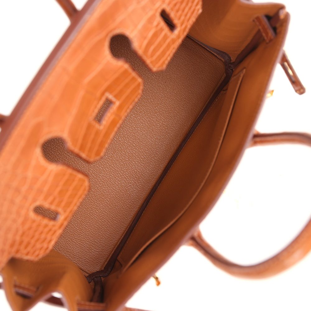 Hermes Birkin 25 Gold Matte Alligator Gold Hardware - Image 8