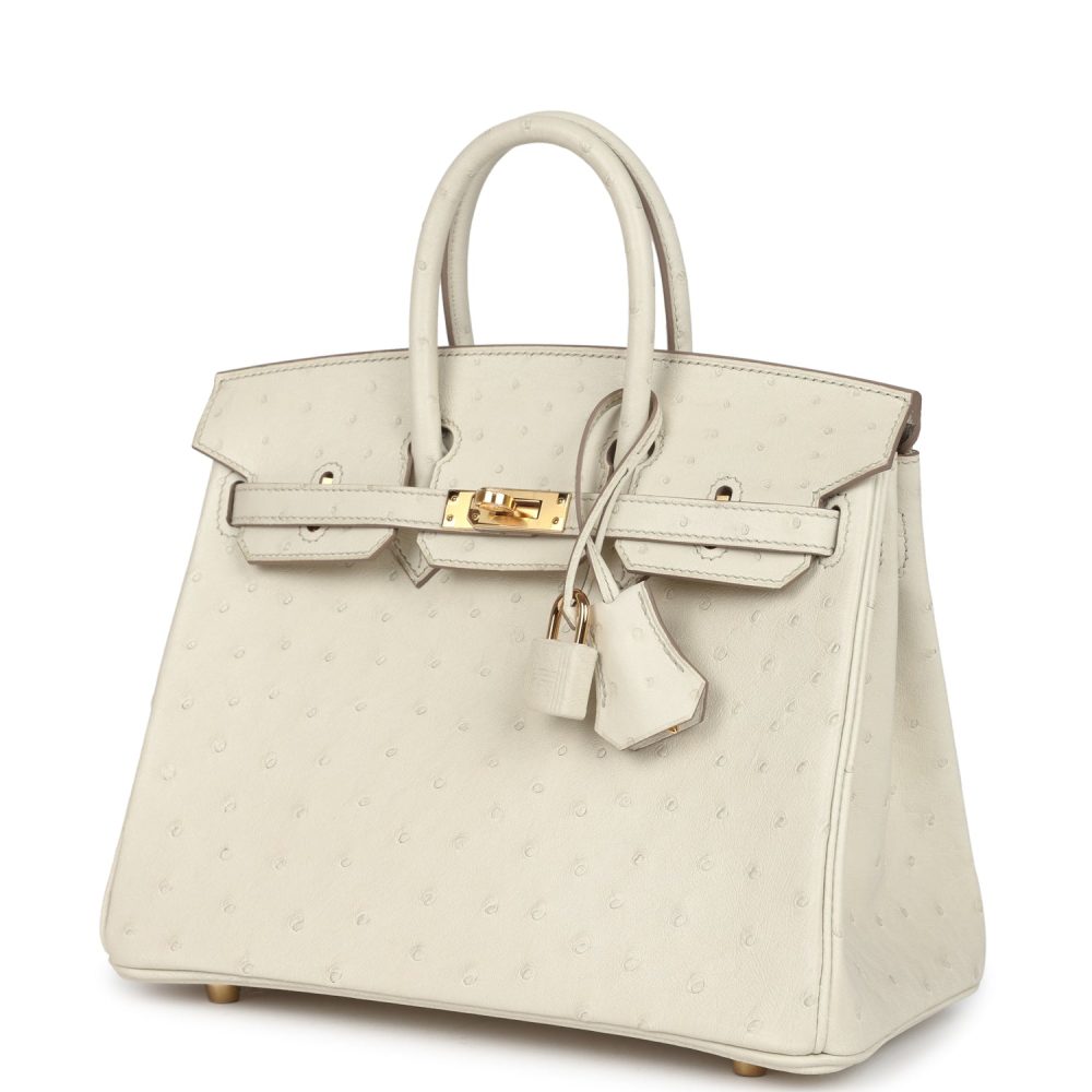 Hermes Birkin 25 Beton Ostrich Gold Hardware - Image 5
