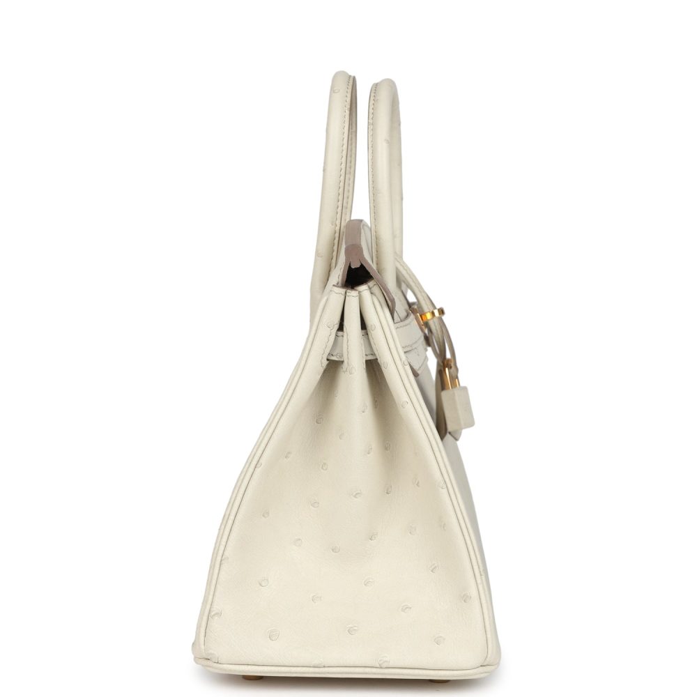 Hermes Birkin 25 Beton Ostrich Gold Hardware - Image 3
