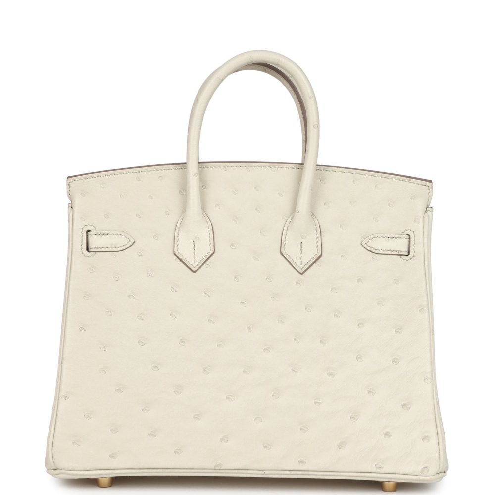 Hermes Birkin 25 Beton Ostrich Gold Hardware - Image 4