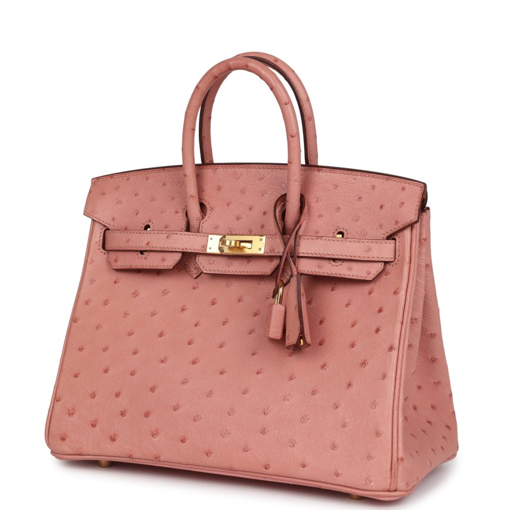 Hermes Birkin 25 Terre Cuite Ostrich Gold Hardware - Image 3