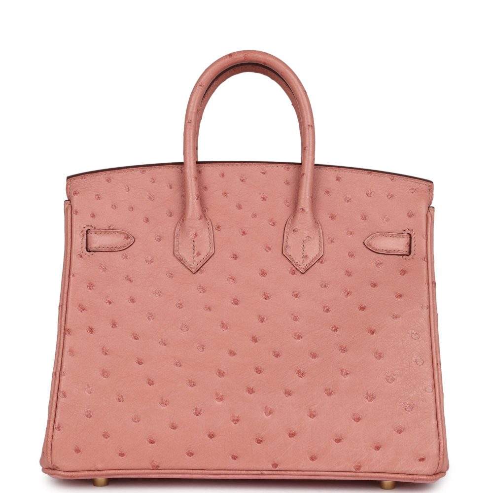 Hermes Birkin 25 Terre Cuite Ostrich Gold Hardware - Image 5