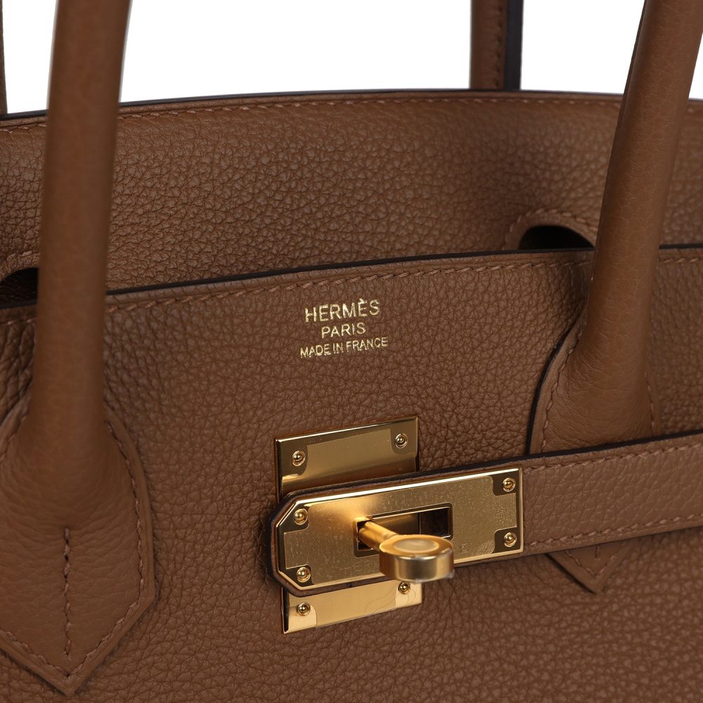 Hermes Birkin 30 Alezan Togo Gold Hardware - Image 7