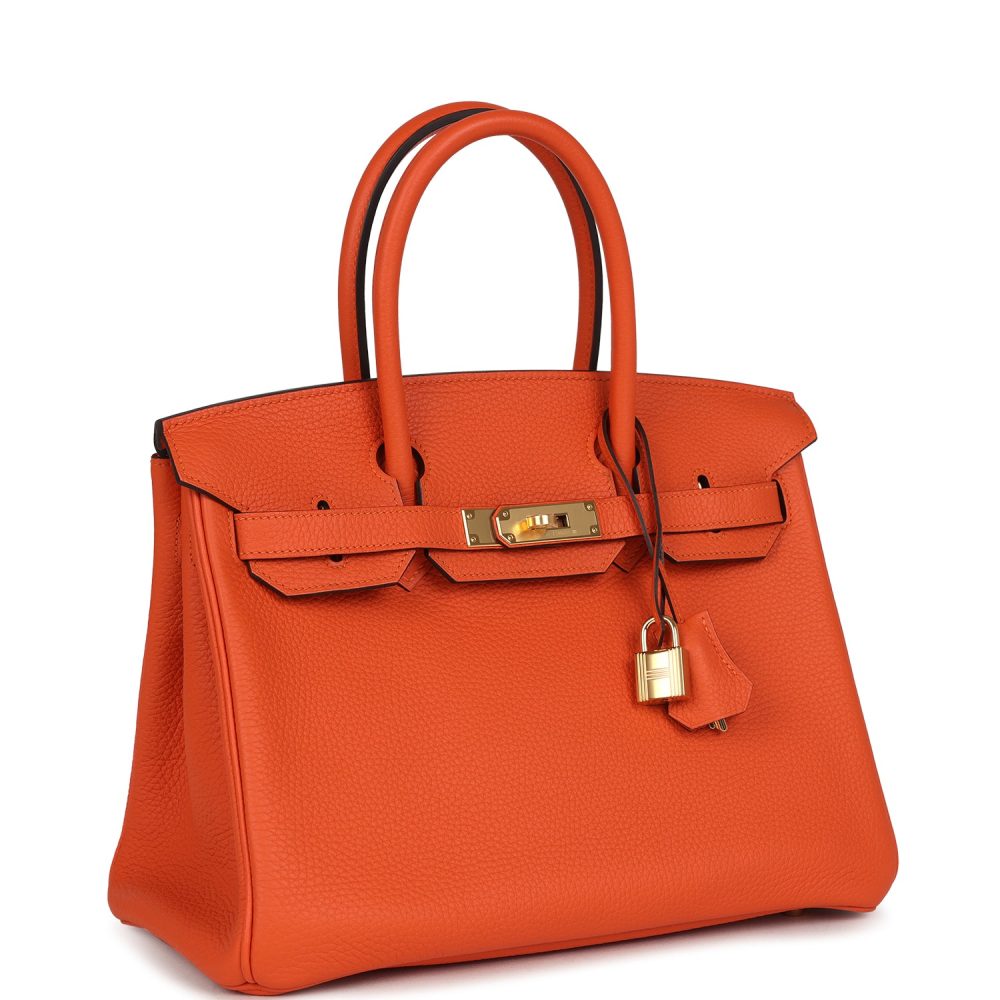 Hermes Birkin 30 Feu Togo Gold Hardware - Image 2