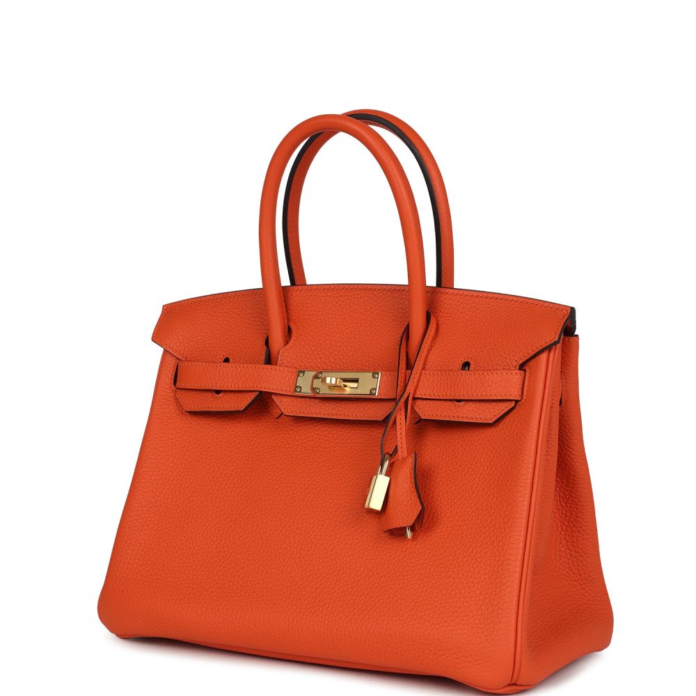 Hermes Birkin 30 Feu Togo Gold Hardware - Image 5
