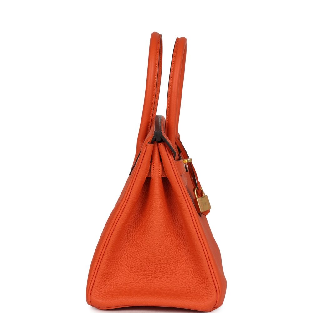 Hermes Birkin 30 Feu Togo Gold Hardware - Image 3
