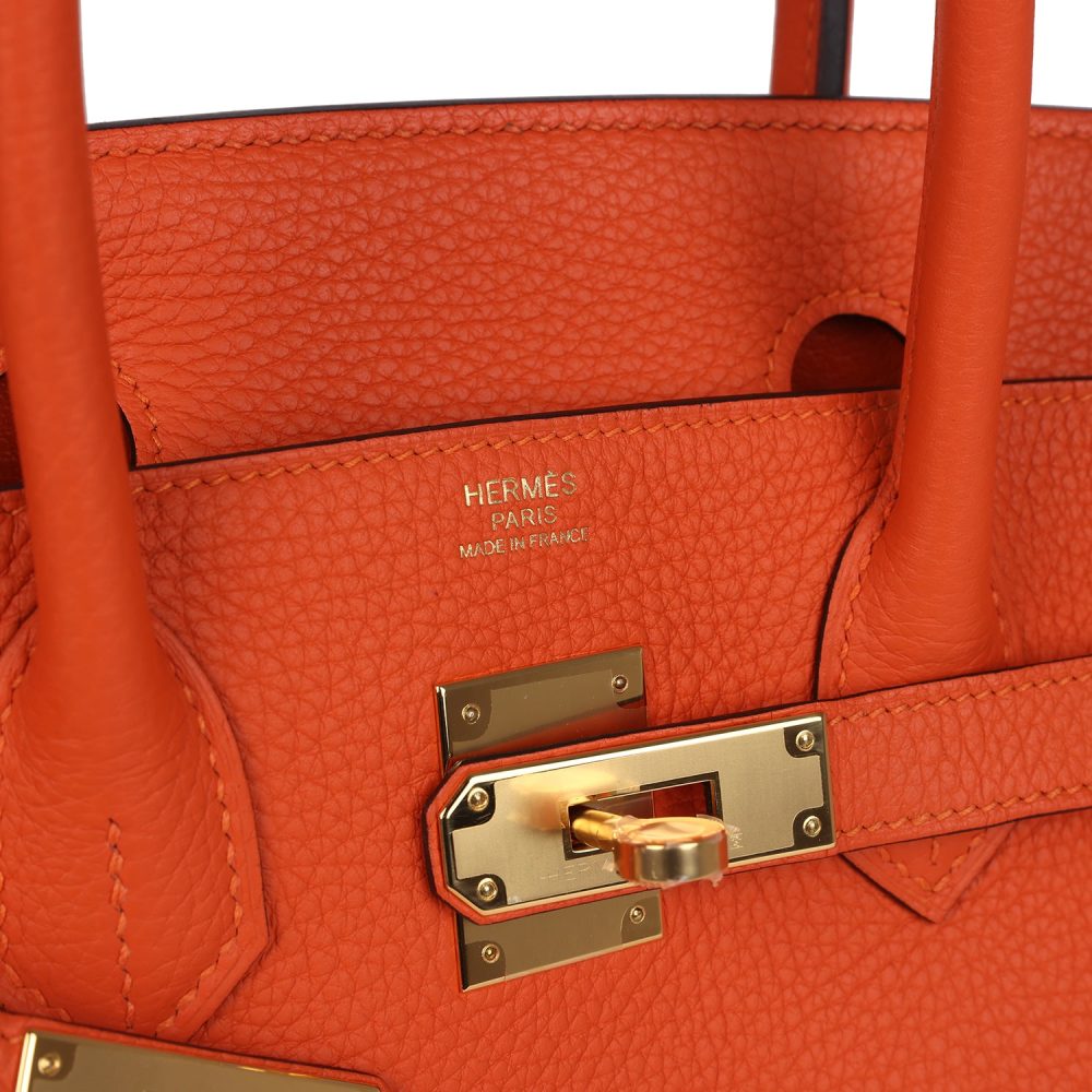 Hermes Birkin 30 Feu Togo Gold Hardware - Image 7