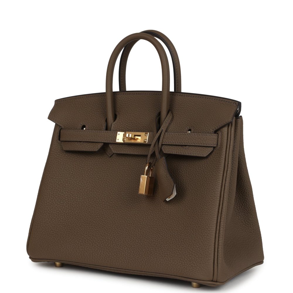 Hermes Birkin 25 Toundra Verso Togo Gold Hardware - Image 5