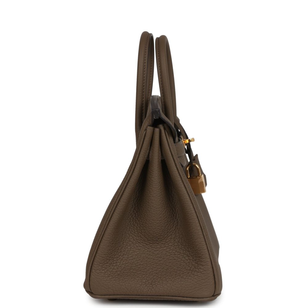 Hermes Birkin 25 Toundra Verso Togo Gold Hardware - Image 3