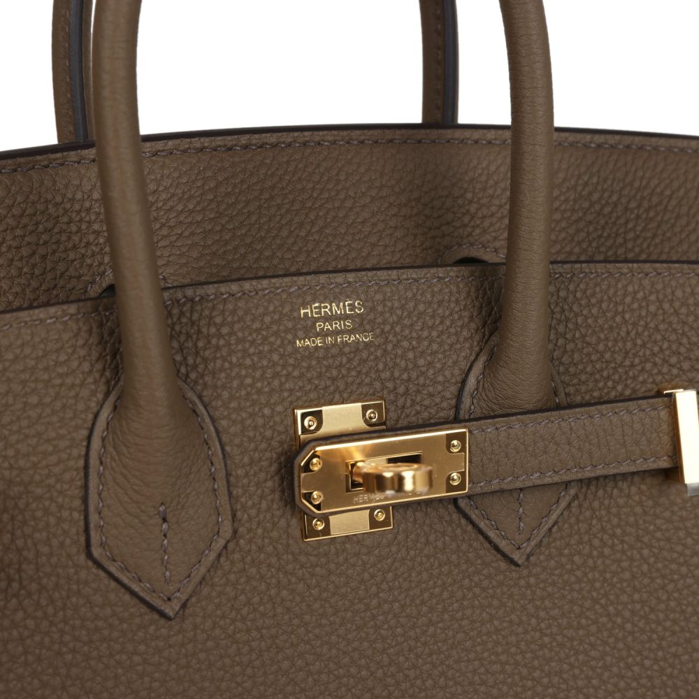 Hermes Birkin 25 Toundra Verso Togo Gold Hardware - Image 7
