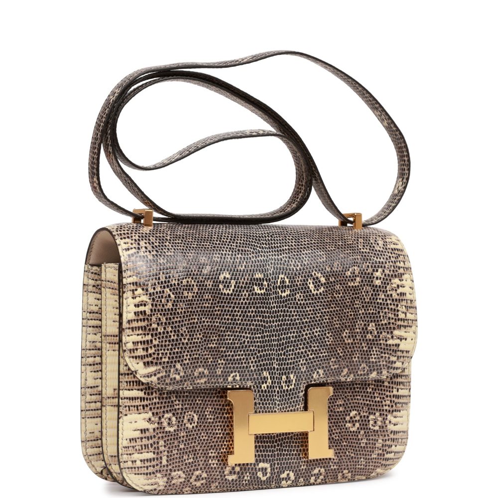 Hermes Mini Constance 18 Ombre Lizard Varanus Salvator Gold Hardware - Image 2