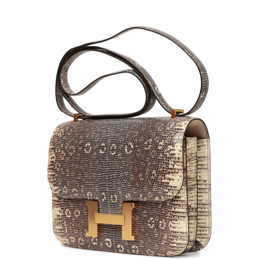 Hermes Mini Constance 18 Ombre Lizard Varanus Salvator Gold Hardware - Image 5