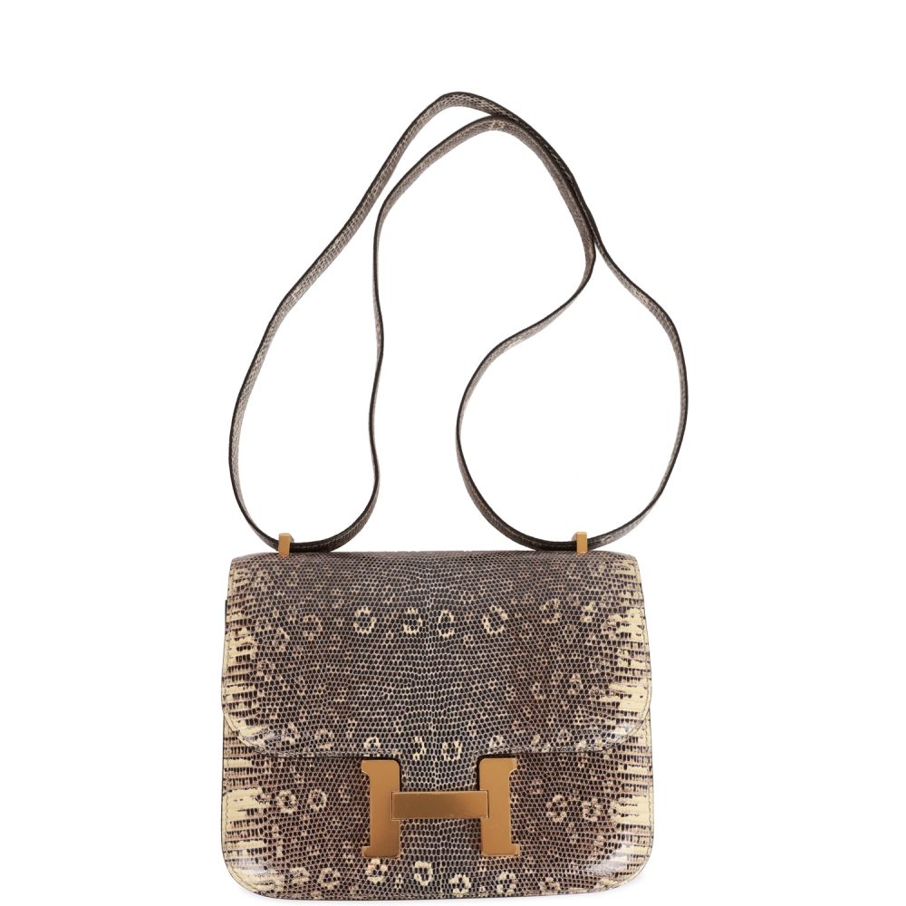 Hermes Mini Constance 18 Ombre Lizard Varanus Salvator Gold Hardware - Image 7