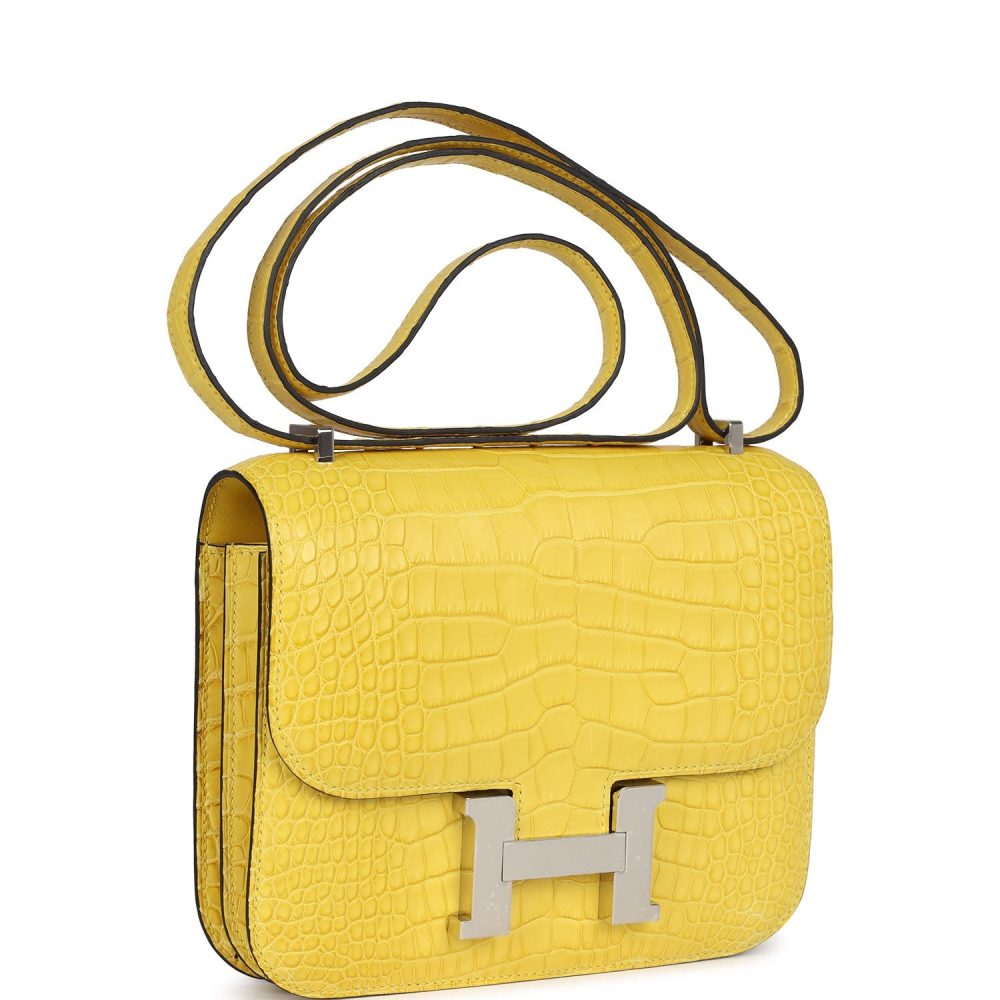Hermes Constance 18 Mimosa Matte Alligator Palladium Hardware - Image 2