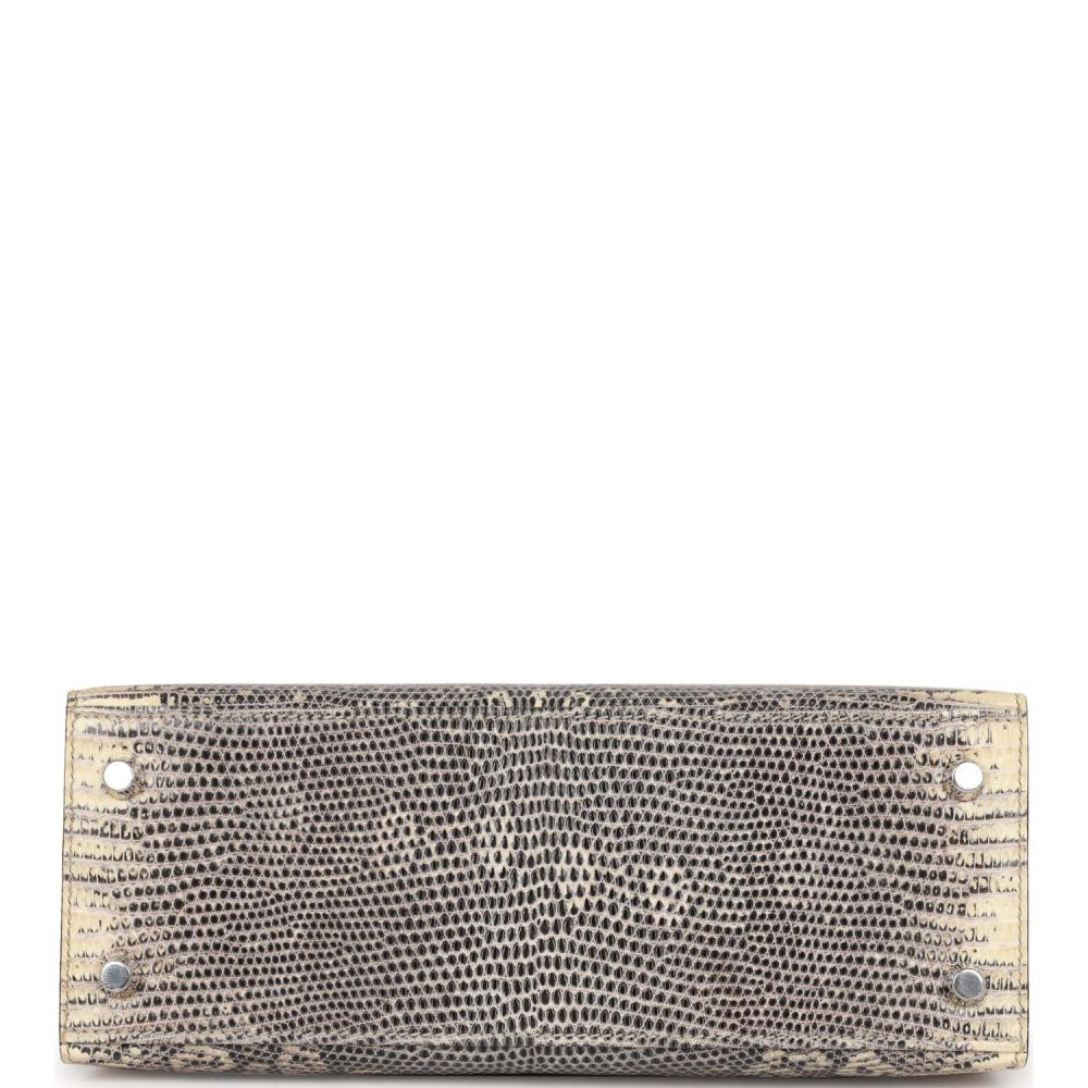 Hermes Kelly Sellier 25 Ombre Varanus Salvator Lizard Palladium Hardware - Image 6