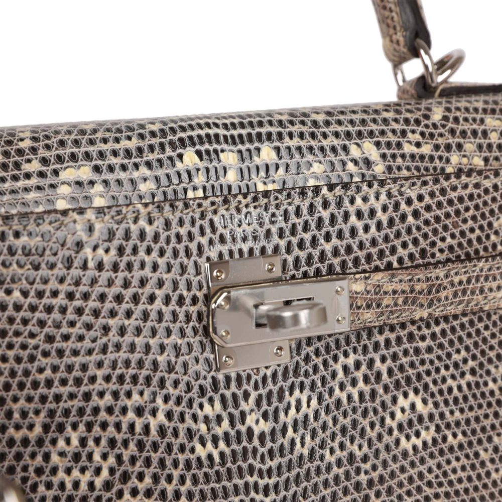 Hermes Kelly Sellier 25 Ombre Varanus Salvator Lizard Palladium Hardware - Image 7