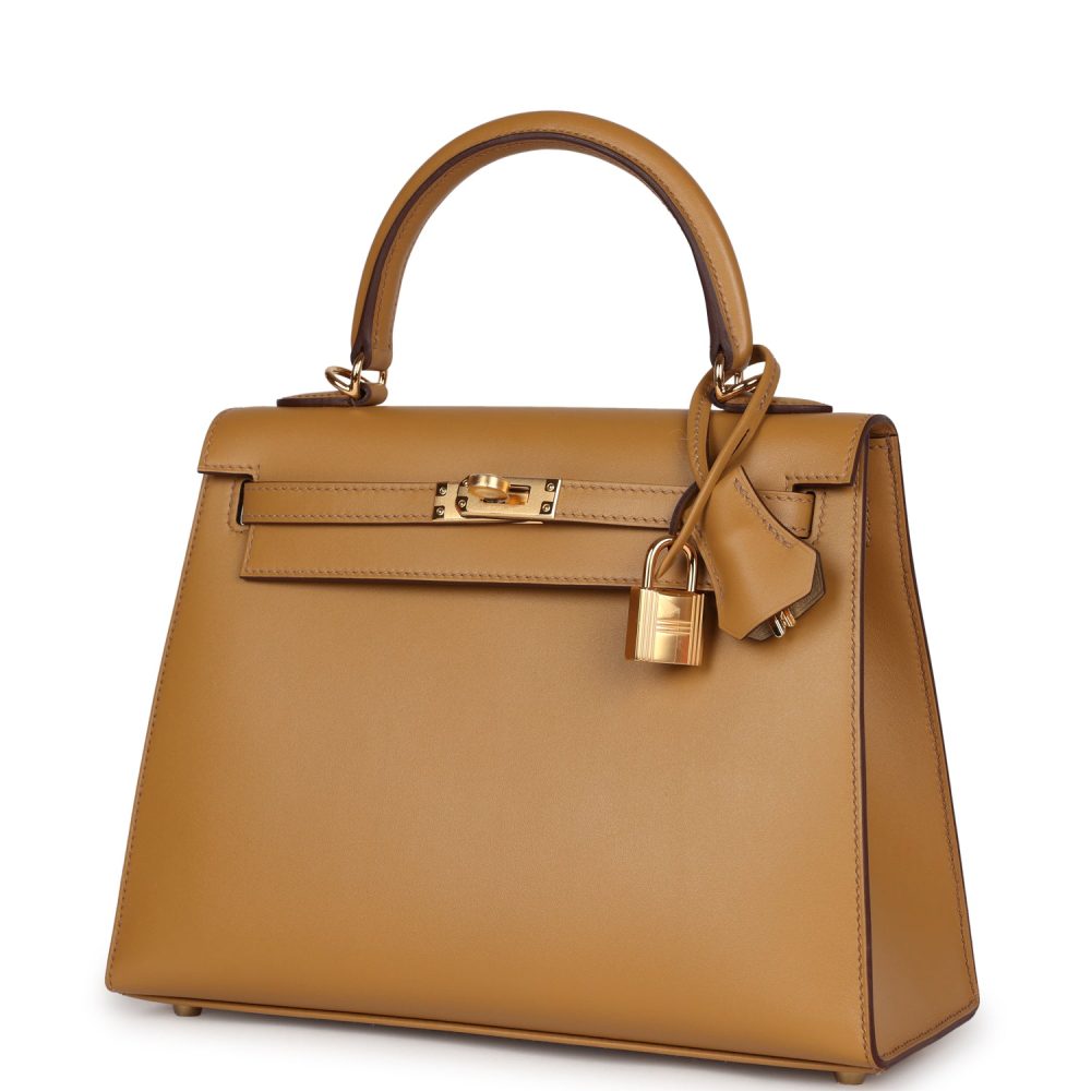 Hermes Kelly Sellier 25 Poussi??re Tadelakt Gold Hardware - Image 5