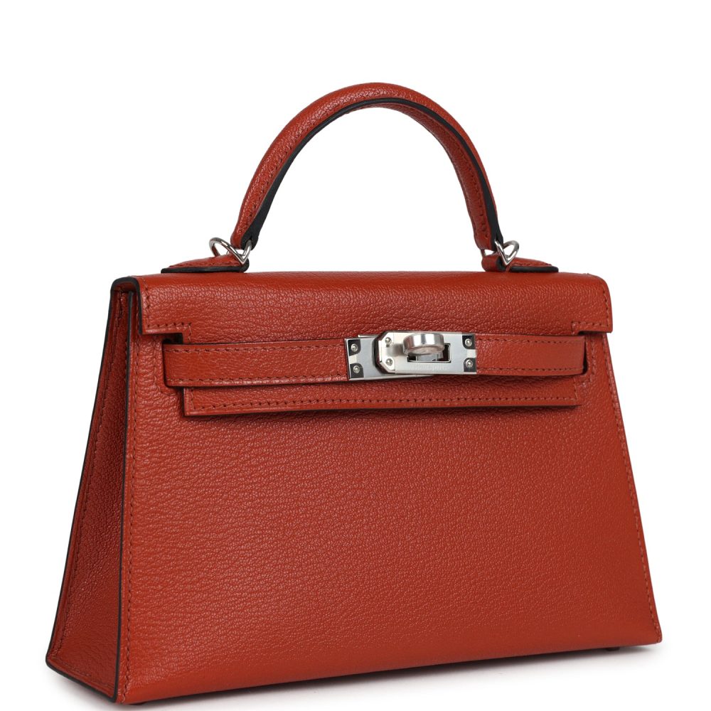 Hermes Kelly Sellier 20 Cuivre Chevre Mysore Palladium Hardware - Image 2